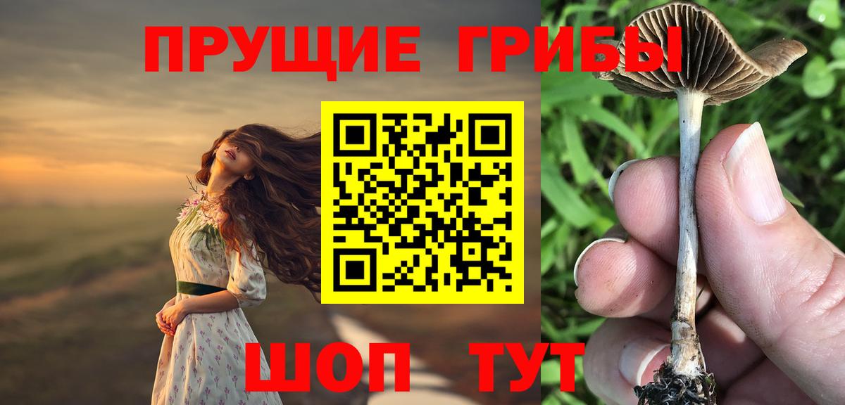 Галлюциногенные грибы мухоморы  Вход с VPN  Псилоцибиновые грибы GOLDEN TEACHER  Тамбов 